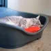 Stefanplast  Sleeper 5 96x68x38 -