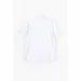  Stendo     235004 5XL  (2000989740162S)