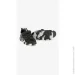  Stepln    XY3090 28 - shop (2000999237003)