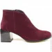    Stepter .36  (056131-36)