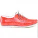    Stepter .36  (089091-36)