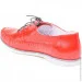    Stepter .36  (089091-36)