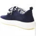    Stepter .36  (089262-36)