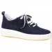    Stepter .36  (089262-36)