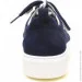    Stepter .36  (089262-36)
