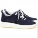    Stepter .36  (089262-36)