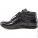    Stepter .42  (55127-42)
