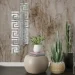   Sticker Wall     ,10(D) SW-00002506