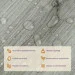 Sticker Wall ³ ,  ,  ,   1 . (-001)  (SW-00000283)