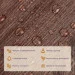 Sticker Wall    ,   1 . (-002)  (SW-00000282)