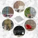 Sticker Wall      3003003 SW-00001775