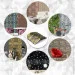 Sticker Wall    3003003 SW-00001931 (D)