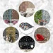 Sticker Wall    3003003 SW-00001935 (D)