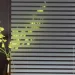   Sticker Wall     600*3000 (D) SW-00002161