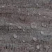 Sticker Wall    6003001, 5,   1 . (-105)  (SW-00000494)
