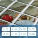 Sticker Wall    9604804 SW-00001789