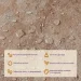 Sticker Wall  LVT  457x457x1.5mm (D) SW-00002457