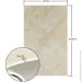 Sticker Wall   PET    600*3000*2mm SW-00001689