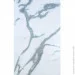 Sticker Wall   PET    600*3000*2mm SW-00001690