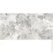 STN     60x120
