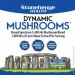 Спеціальна добавка Stonehenge Health Ноотропна добавка преміум-класу Dynamic Mushrooms 60 капсул Спеціальна добавка Stonehenge Health Ноотропна добавка преміум-класу Dynamic Mushrooms 60 капсул