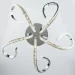 Strotskis   Miracle 48   90063/5
