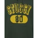  Stussy 80 RELAXED HOODIE (118561-PINE-L)