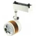 -  Stvled TC06-24W-6500K