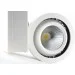 -  Stvled TS10-25W-5000K