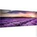  Styler   150x60 