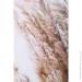 Styler   50x70  OB-14040