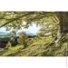 Styler Картина на склі Зелене дерево 80x120 см GL-02002 Styler Картина на склі Зелене дерево 80x120 см GL-02002