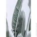 Styler  Bali 50x70  OB-14049