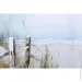Styler  Beach     100x70  CA-00046