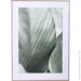 Styler  Island 50x70  OB-14048