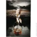 Styler    Lions 80x120  GL-12646