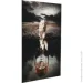 Styler    Lions 80x120  GL-12646
