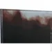 Styler    Lions 80x120  GL-12646