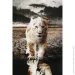 Styler    Lions 80x120  GL-12646