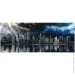 Styler  NY    60x150  CA-11901