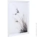 Styler  Pampas 50x70  OB-14545