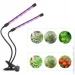   Supretto    LED  20      . (2099342053)