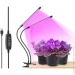   Supretto    LED  20      . (2099342053)