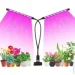   Supretto    LED  20      . (2099342053)