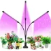   Supretto  LED      (2417557145)