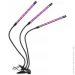   Supretto  LED      (2417557145)