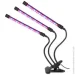   Supretto  LED      (2417557145)