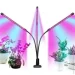   Supretto  LED      (2417557145)