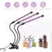   Supretto  LED      (2417557145)