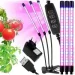   Supretto  LED      (2417557145)